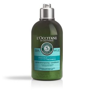 L'Occitane Aromachologie Purifying Freshness Shampoo 