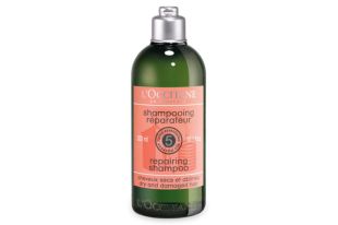 L'Occitane Repairing shampoo 
