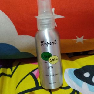X-pert x-pert cover and shine 