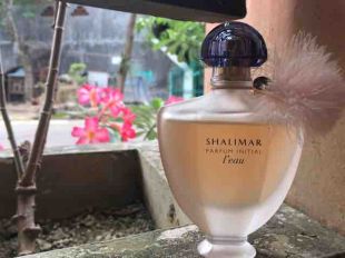 Guerlain Shalimar Parfum initial l'eau sensuelle