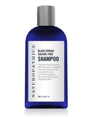 Naturopathica Black Spruce Sulfate-Free Shampoo 