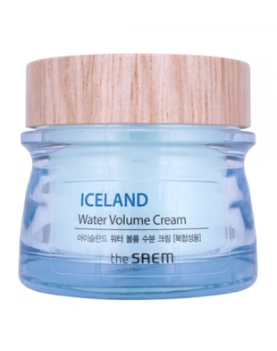 the SAEM Iceland Water Volume Cream For Combination Skin