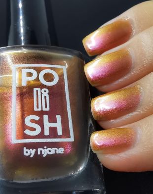 POSH Polish by Njane Nail Polish Fiery Situation