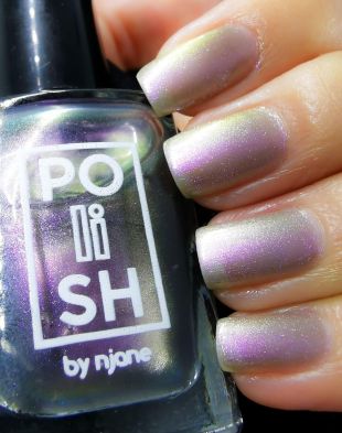 POSH Polish by Njane Nail Polish Magnificent!