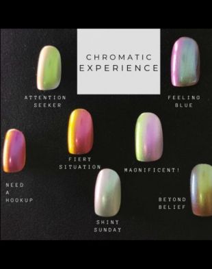 POSH Polish by Njane Chromatic Experience Set 