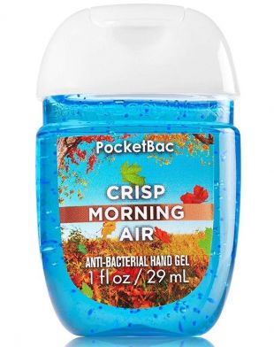 Bath and Body Works PocketBac Crisp Morning Air
