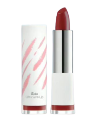 Fanbo Ultra Satin Lipstick 02 Nerd