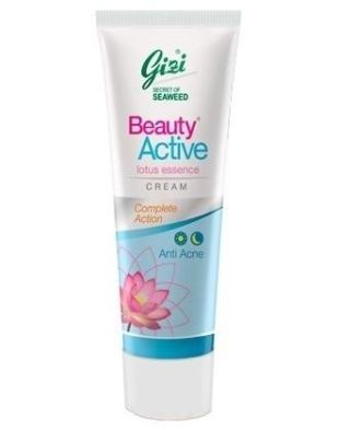 Gizi Cosmetics Beauty Active Day And Night Cream 