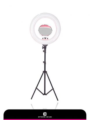 Armando Caruso Portable Ring Light Pink 203P