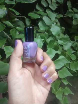 BRASOV Beasov Nail Polish 41