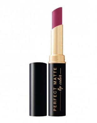 Viva Cosmetics Perfect Matte Lip Color 706 Marsala