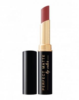 Viva Cosmetics Perfect Matte Lip Color 705 Mocha