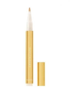 Crystallure Precious All Day Corrective Concealer Light