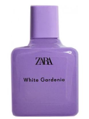 ZARA White Gardenia 