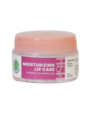 H&H Moisturizer Lip Care 