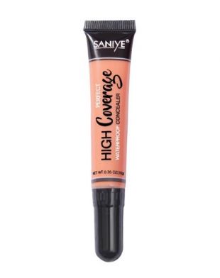 Saniye Cosmetics High Coverage Liquid Concealer With Brush 10 Concealer