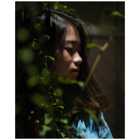 profile