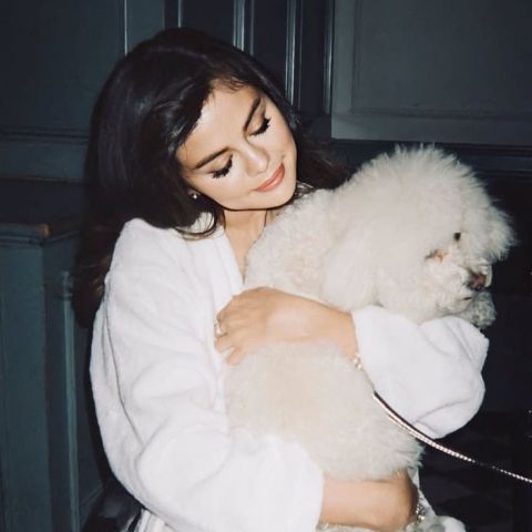 profile-picture