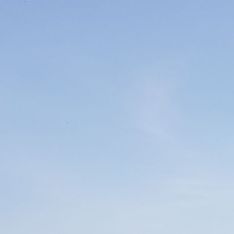 profile-picture
