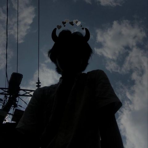 profile