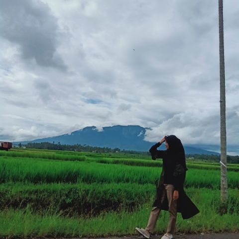 profile