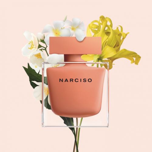 parfum narciso rodriguez ambree