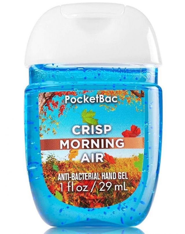 bath and body works crisp morning air hand sanitizer