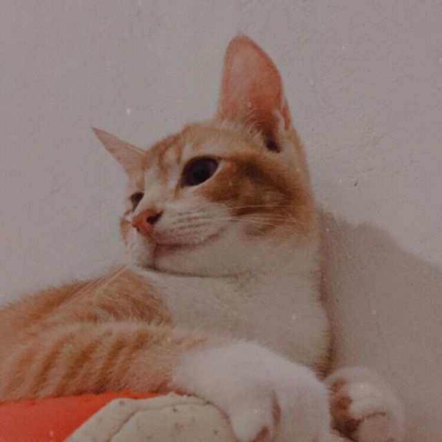 profile-picture