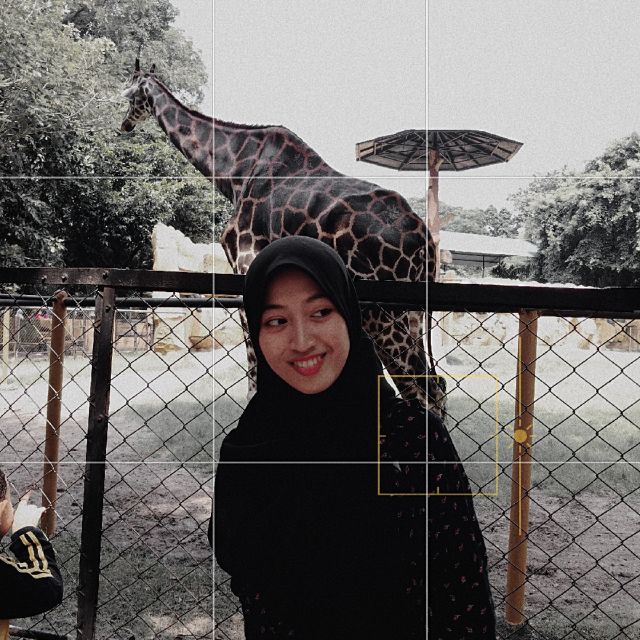profile-picture