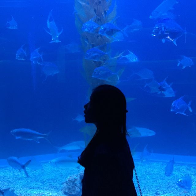 profile-picture