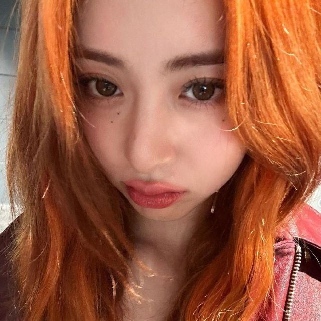 profile
